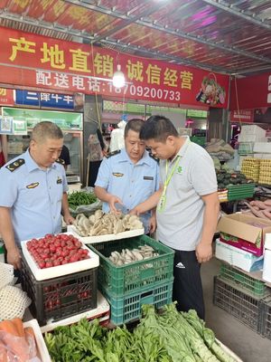 筑牢安全防線，守護舌尖健康——區市場監管局全面開展市場銷售蘑菇風險排查專項行動